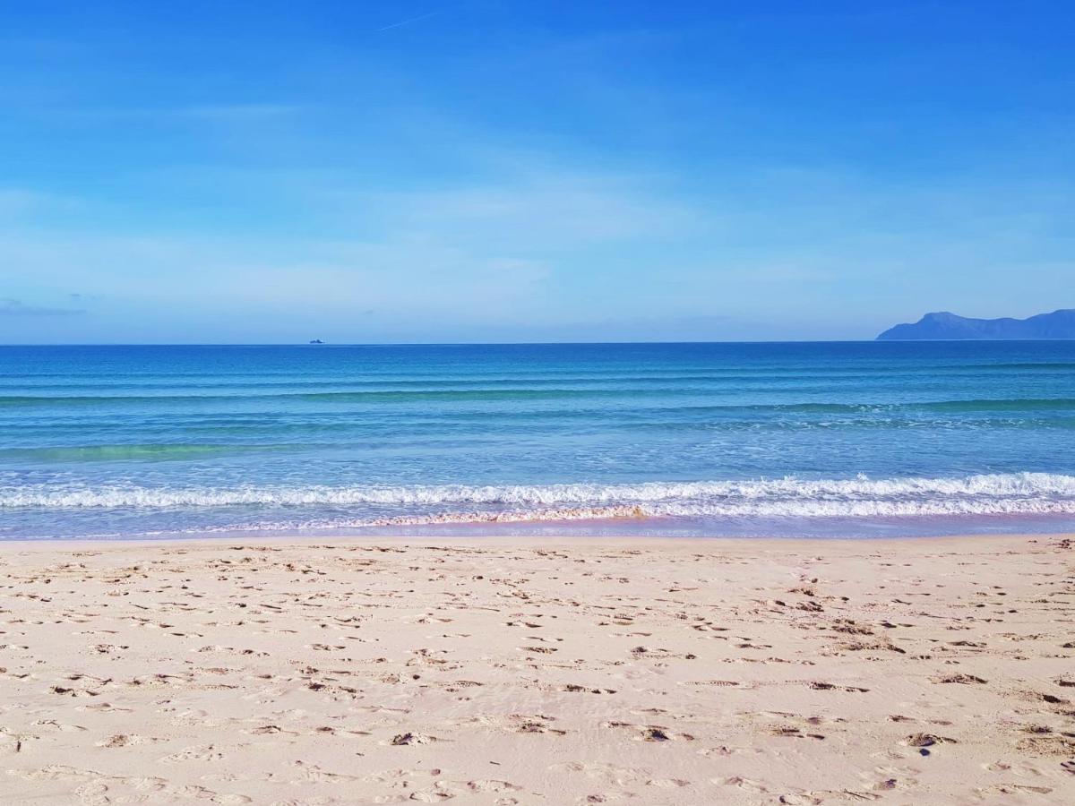 Ideal Mallorca - Pins 441