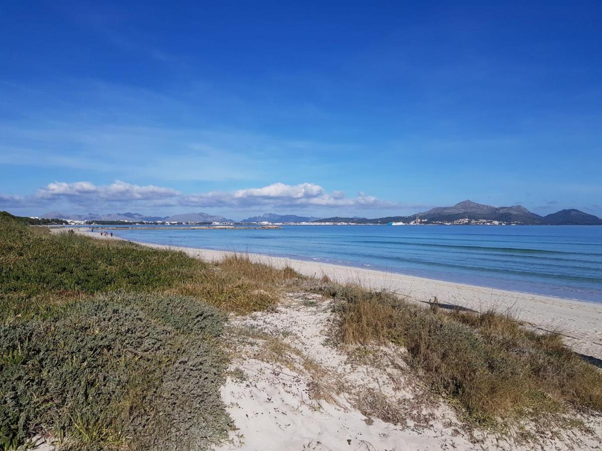 Ideal Mallorca - Pins 441 Playa de Muro (Mallorca)